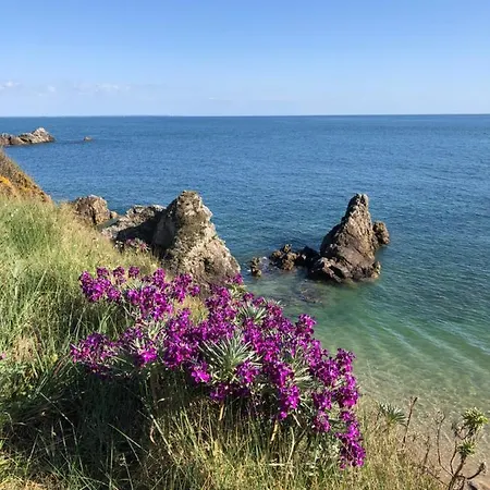 Aziliz - Face 생나제르